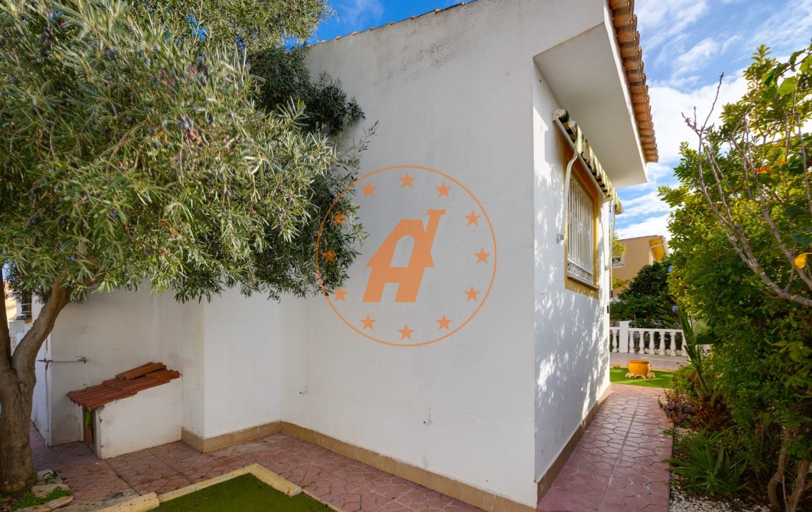 WhatsApp Image 2026-01-27 at 12.13.12 (3)